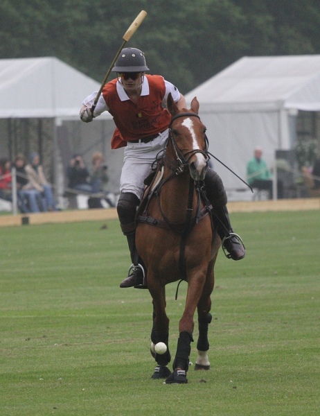 Polo_Art   097.jpg